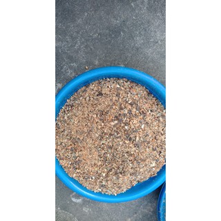 1kg hạt gấc rang thơm,giã nhỏ