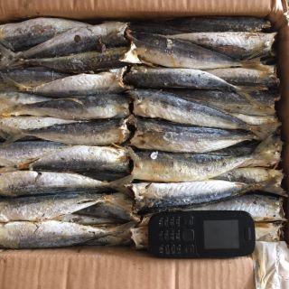 SỈ:1 thùng (7Kg) CÁ NỤC hấp nhạt