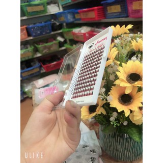 Mi trụ katun mix size (12,13,14,15)