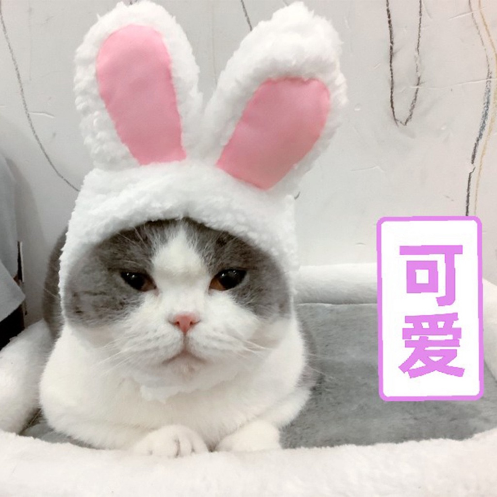 Nón cho thú cưng dễ thương, nón cho chó mèo BaeYi, mũ phụ kiện thú cưng chất vải bông mềm mại