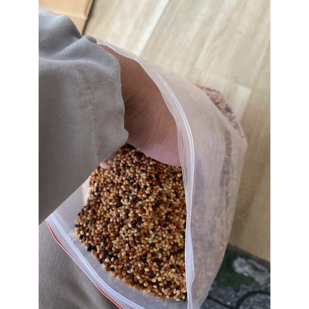 2 kg Hạt cỏ thái cho chim cu ăn cực sung, đảm bảo nhiều chất dinh dưỡng