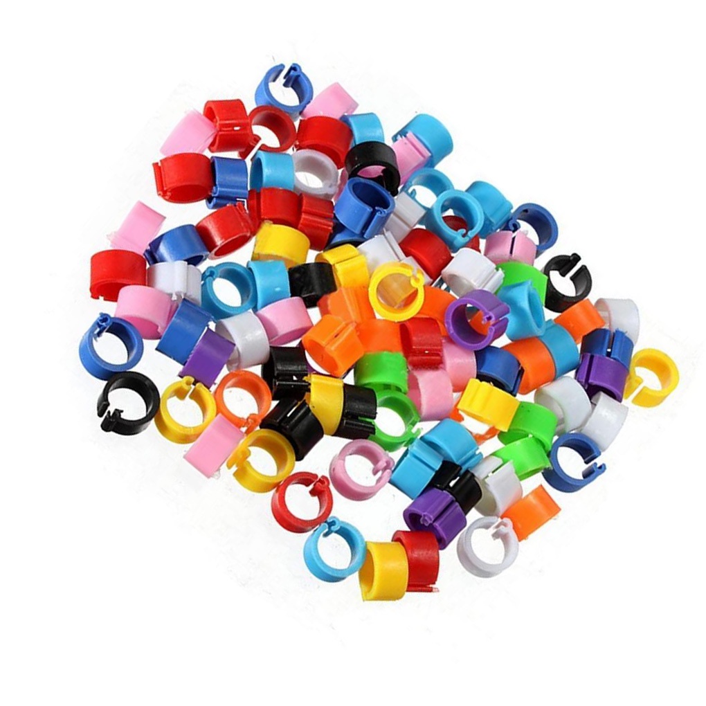 Set 100 vòng nhựa đeo chân cho chim bồ câu tiện dụng