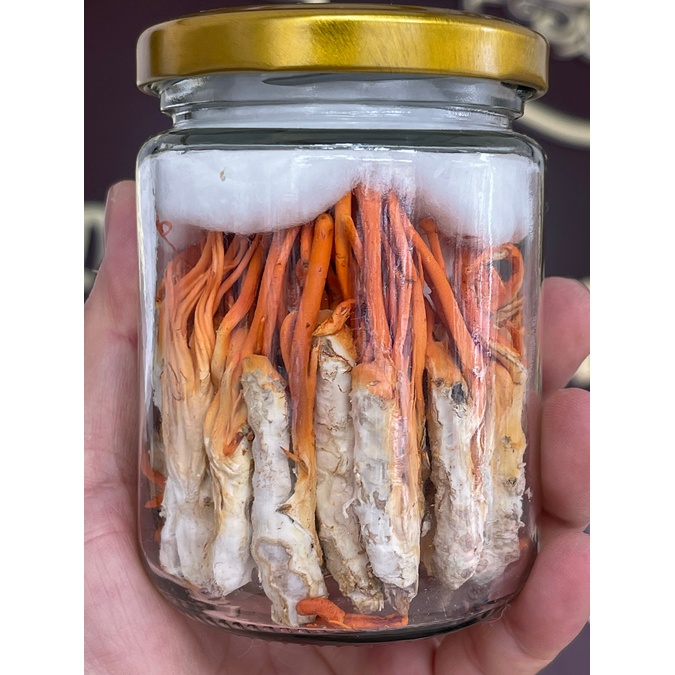 Đông Trùng Hạ Thảo Nhộng nguyên con sấy thăng hoa hàng Huy Cương 100% 22k/con, hộp 20-40 con