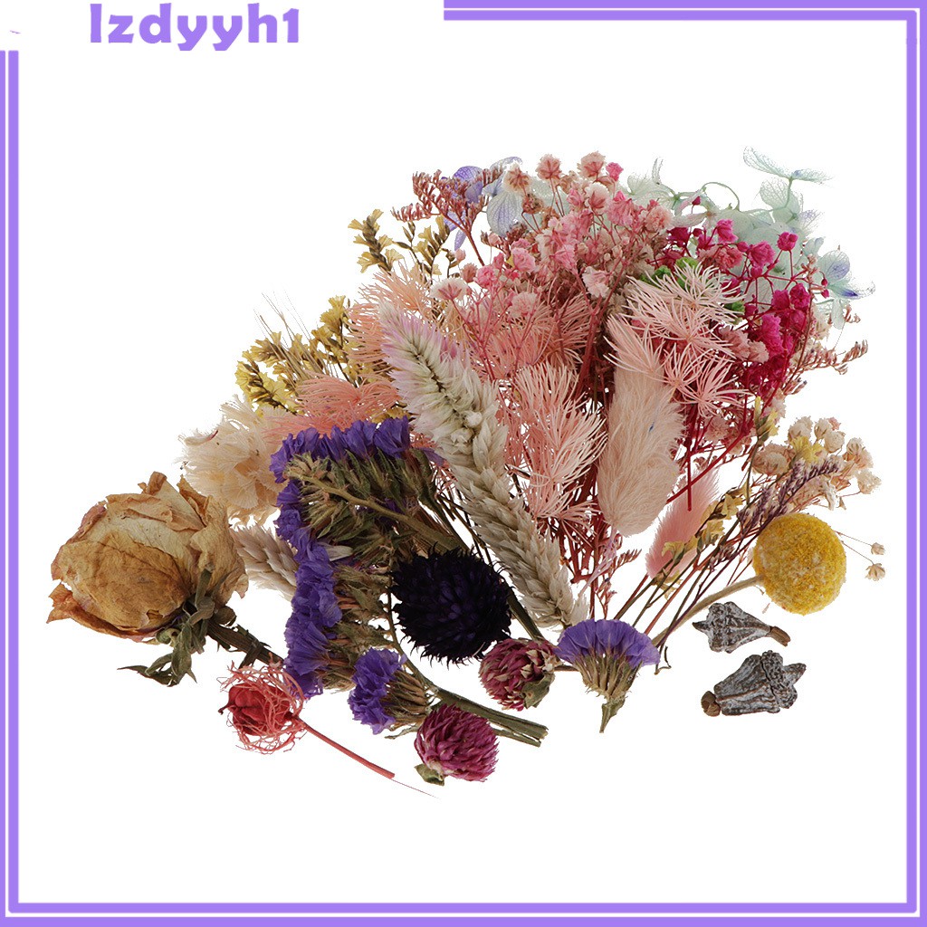1 Hộp Hoa Khô Tự Nhiên Dùng Làm Thẻ Trang Trí Sổ Tay JoyDIY