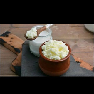 Nấm sữa Kefir( con nấm sữa tao ra sữa chua. Xuất xứ : Việt Nam, HSD : Vĩnh viễn)