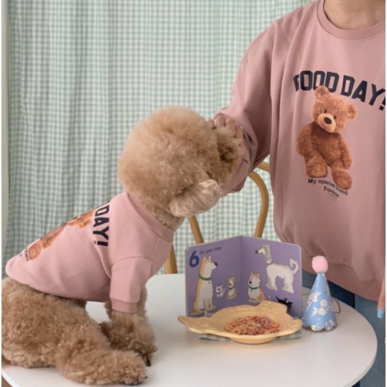 Áo gấu teddy hot trend cho chó mèo