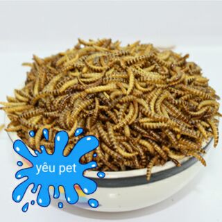 Sâu rang cho hamster, nhím, sóc 25g