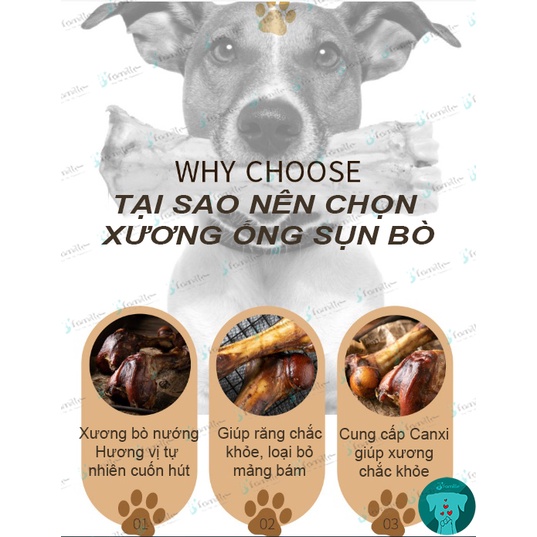 Treat Nhai Gặm Sạch Răng JFAMILLE, Xương Ống Sụn Bò, Bổ Sung Canxi, Giảm Stress, Chống Cắn Phá. JF193