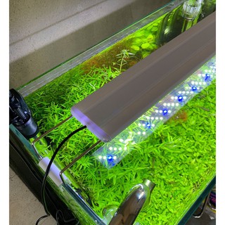  Đèn LED Siêu đẹp cho bể cá cảnh Ánh sáng Trắng