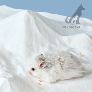 Cát tắm Hamster, thỏ , bọ , sóc 1kg