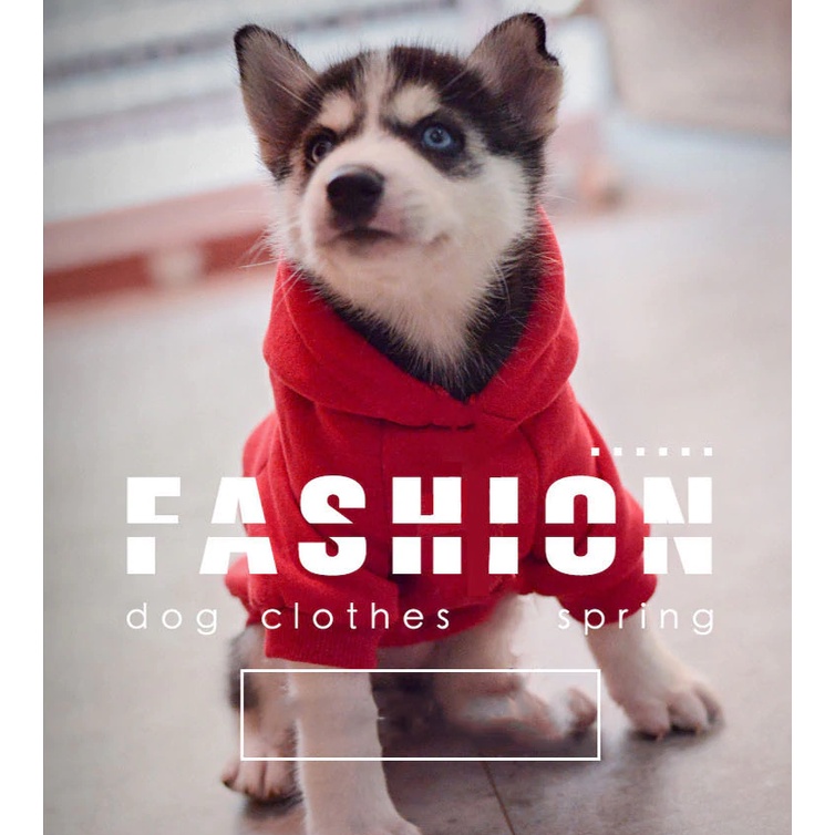 Áo Cho Cún Cưng Cỡ Lớn Đến 40Kg Phong Cách Thể Thao quần áo cho chó mùa đông