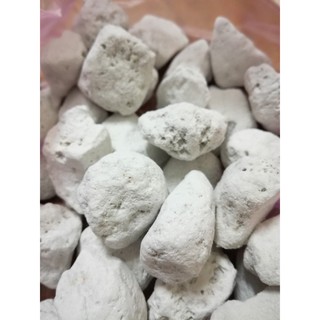 Nham Thạch Trắng - Đá Lông Vũ Lọc Nước Hồ Cá 500gram