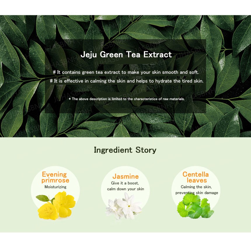 GANGBLY Jeju Green Tea, Horse Oil, Canola Honey, Aloe Cleansing Foam (180ml * 2ea)