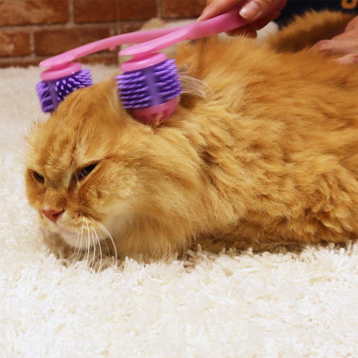 Cây massage cho mèo cầm tay siêu thư giãn cho mèo cưng - CattyMan - Hình tự chụp - Ảnh thật | phinthecat