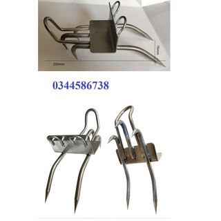 Vuốt chèo cây, leo cây