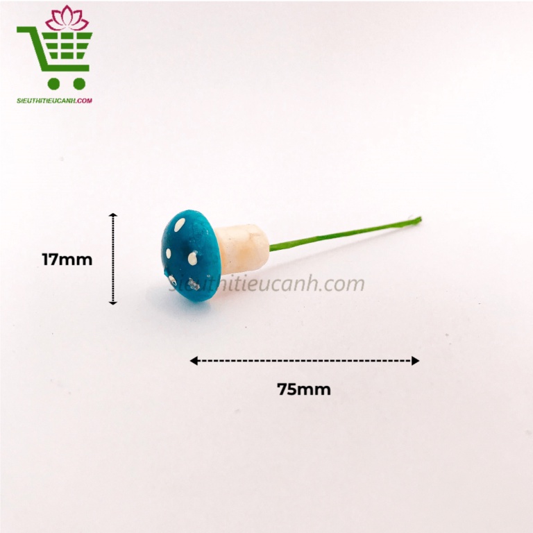 NẤM TRANG TRÍ TIỂU CẢNH, SEN ĐÁ