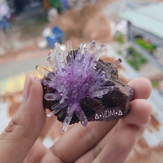 COMBO nuôi tinh thể KDP