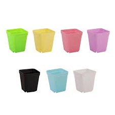 Chậu nhựa trồng cây để bàn, chậu sen đá, chậu xương rồng loại 1 nhiều màu, chậu nhựa mini siêu rẻ
