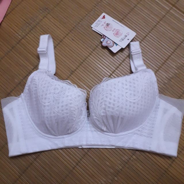 Xương rông trên cát