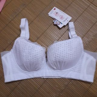 Xương rông trên cát