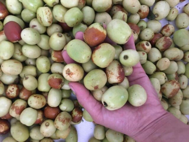 Chuyên sỉ 2kg Táo tàu khô thuốc Bắc chuẩn ngon