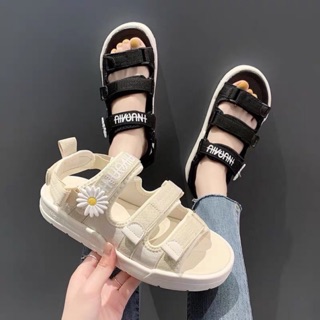 Sandal 3 quai cúc 1 bông