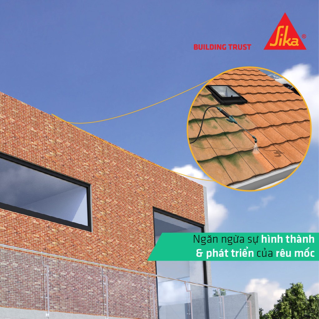 Sika - Màng lỏng chống thấm trong suốt, chống ố, chống rêu mốc, thẩm thấu nhanh Sikagard 905W  SIKA THẾ VŨ