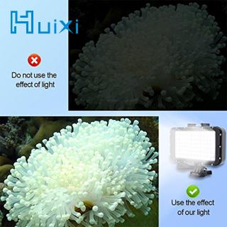 Đèn LED 84 bóng chống thấm nước chuyên dụng cho thợ lặn