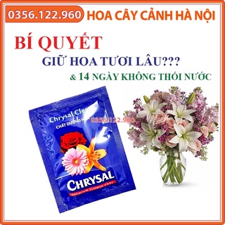 Chất dưỡng hoa lâu tàn Chrysal dùng cho hoa cắm cành