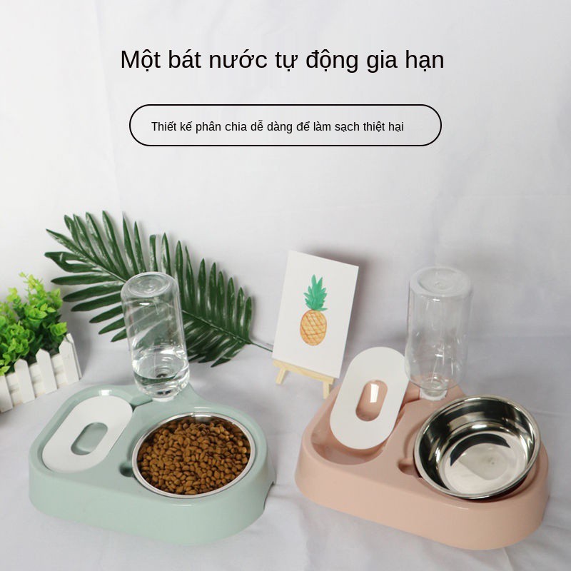 Bát cho mèo đôi tự động uống nước chó đựng thức ăn Đĩa không ướt miệng vật nuôi Đồ dùng chống lật