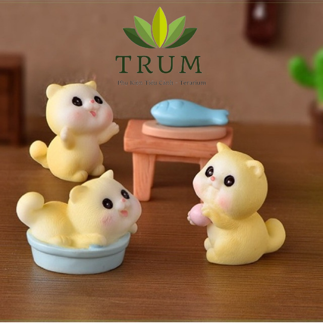 Mèo Baby Dễ Thương Lớn mô hình trang tri tiểu cảnh sen đá -terrariuma