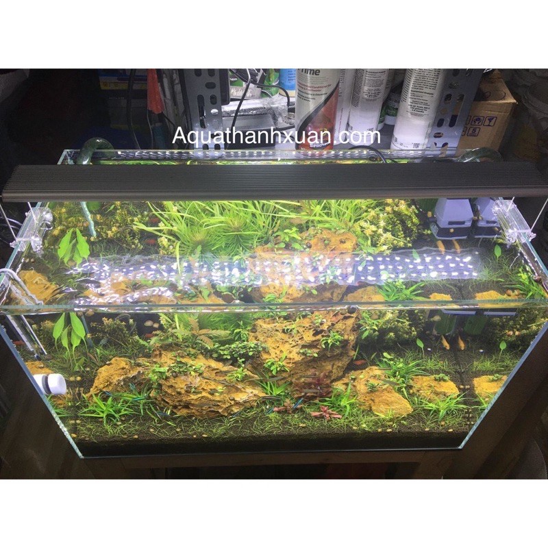 ĐÈN LED ODYSEA SLIMX