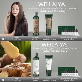 Dầu gội gừng weilaiya mua 1 combo gội xả tặng 1 bộ tét dầu gội Nấm truffle trị giá 50k