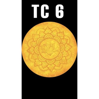 HÀO QUANG MẪU TRÚC CHỈ