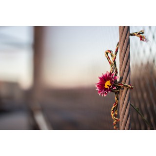 Ống kính Sigma 35mm f/1.4 DG HSM ART