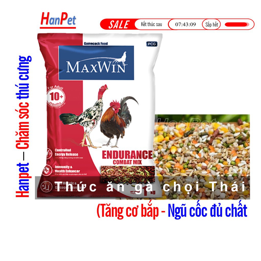 Hanpet.GV- (Gói 1kg) Cám gà chọi Maxwin Thái Lan thức ăn gà đá thức ăn gà chọi kich thích phát triển cơ