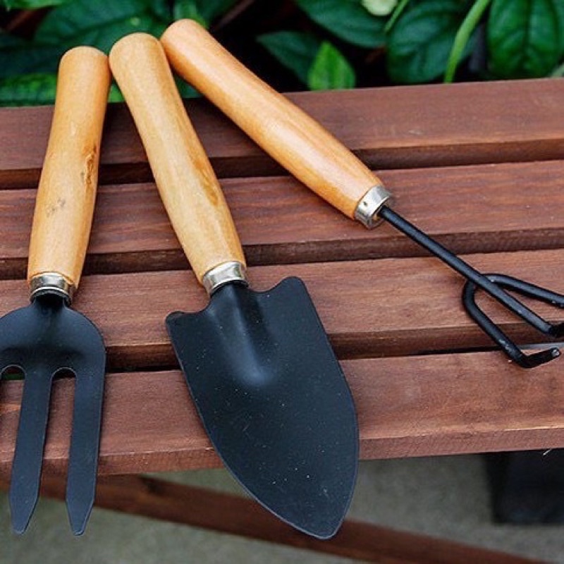 bộ dụng cụ làm vườn loại To 3 món, cỡ đại_ xẻng trồng cây cảnh,