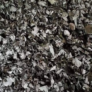 Lá gai tự phơi 1kg/1túi