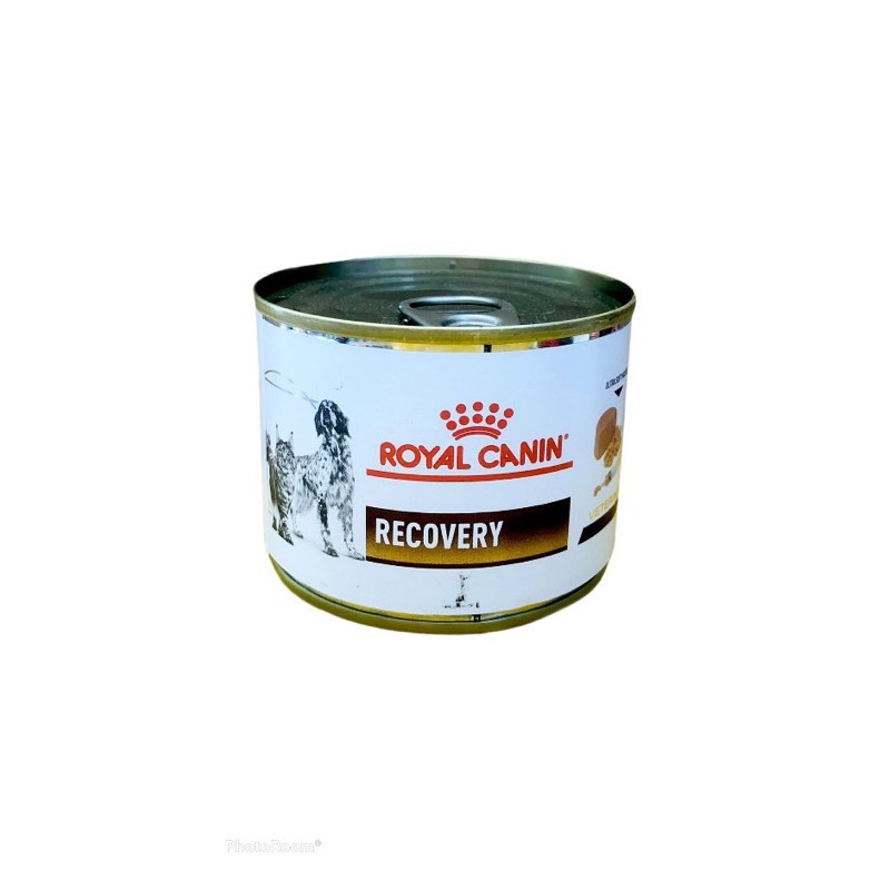 Pate Royal Canin Recovery 195gr