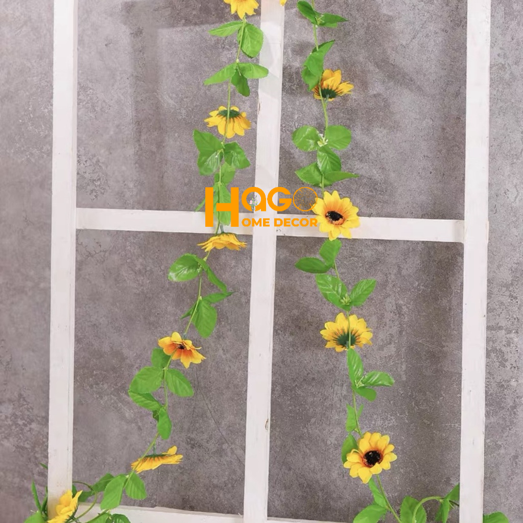 Dây Hoa Hồng Leo Nhiều Mẫu Trang Trí Tường,Hàng Rào, Ban Công Tuyệt Đẹp