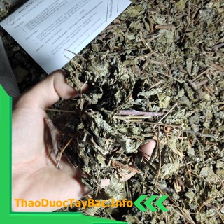 Cây Chè Dây [1Kg]