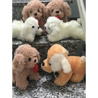 (Hàng y hình đẹp) [𝑭𝒓𝒆𝒆𝒔𝒉𝒊𝒑 ]Gấu bông chó lông xù và chó tiểu thư đáng yêu.