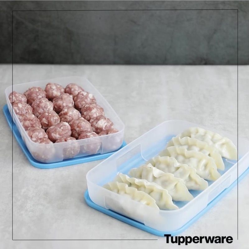 Set Hộp Nhựa Ngăn Đông Dẹt 650ML Tupperware - Trữ Thực Phẩm Thịt Cá Tôm Rau Củ - Đựng Đồ Ăn Dặm Cho Trẻ An Toàn Tiện Lợi
