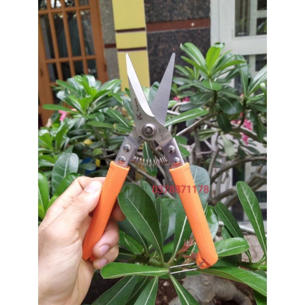 Kéo cắt cành,tỉa dăm mũi thẳng 8.5in 215mm