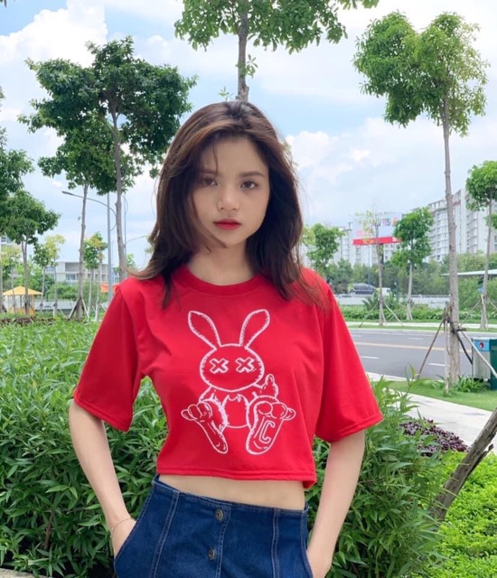 Áo Croptop Form Rộng Thỏ Ảnh Thật