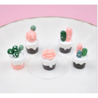 Búp bê - Cây cảnh trang trí nhà búp bê - tiểu cảnh - miniature