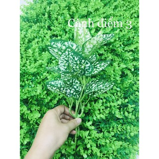 Cành điểm trang trí trầu bà sữa trang trí quán