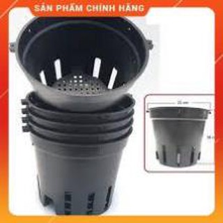 20 chậu nhựa trồng lan f21