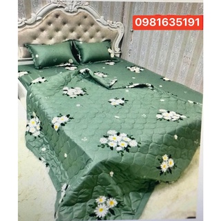 Sét Chăn Ga Gối Poly Cotton