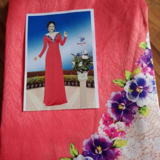Vải áo dài 3d